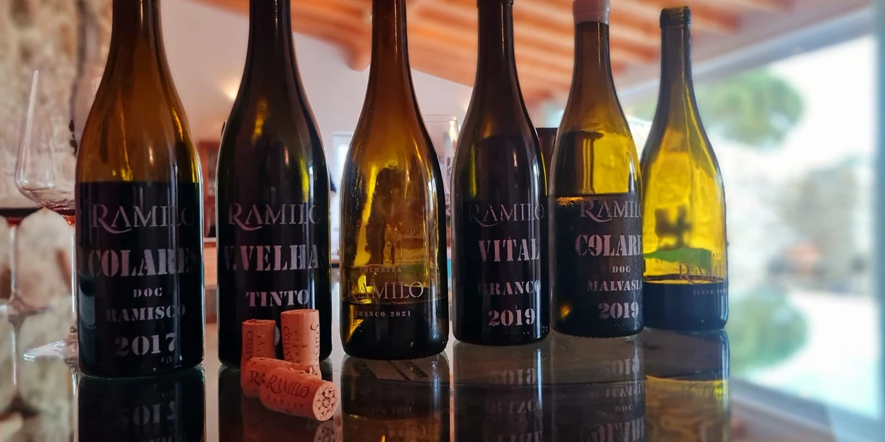Vinhos & Viagens: 'Conheça vinhos considerados “fora da curva” produzidos na região de Colares em Portugal', por Patrícia Ecave