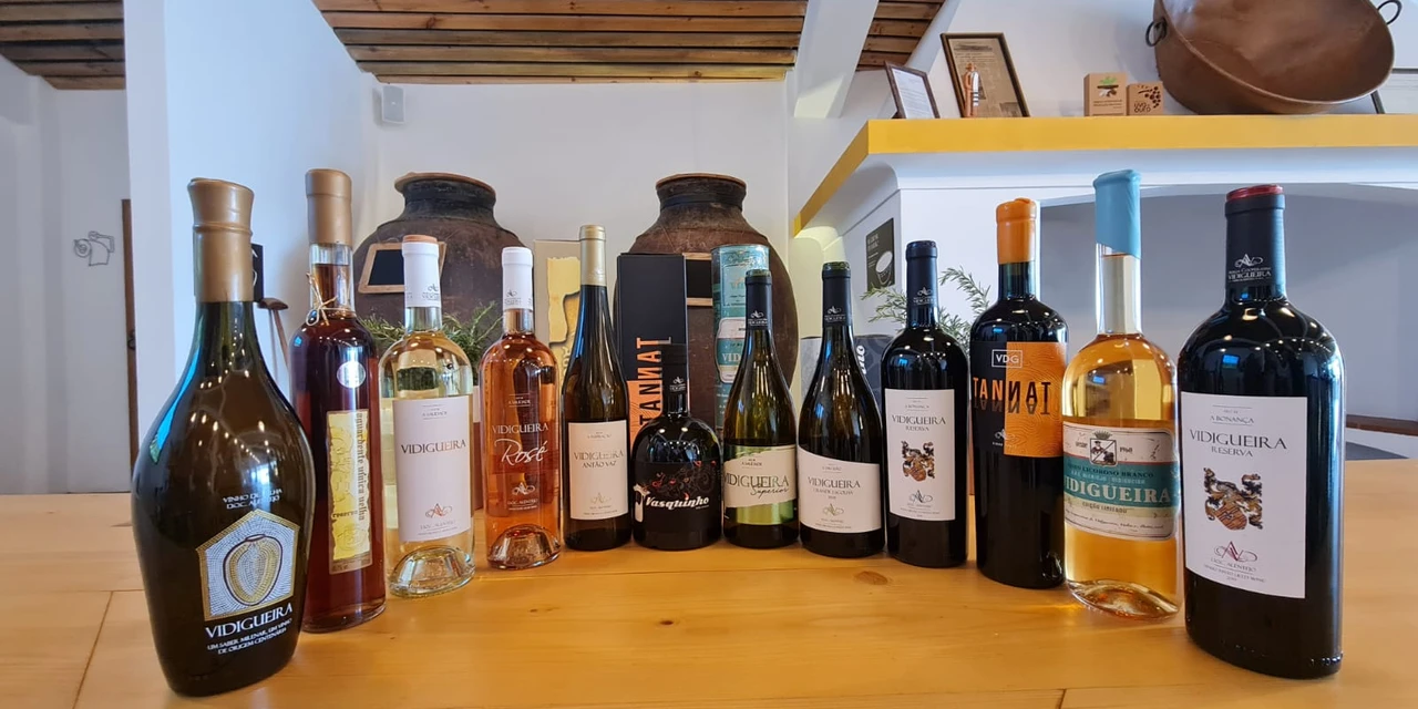 Vinhos & Viagens: 'Adega Cooperativa Vidigueira no Baixo Alentejo, em Portugal, lança novas safras do portfólio', por Patrícia Ecave