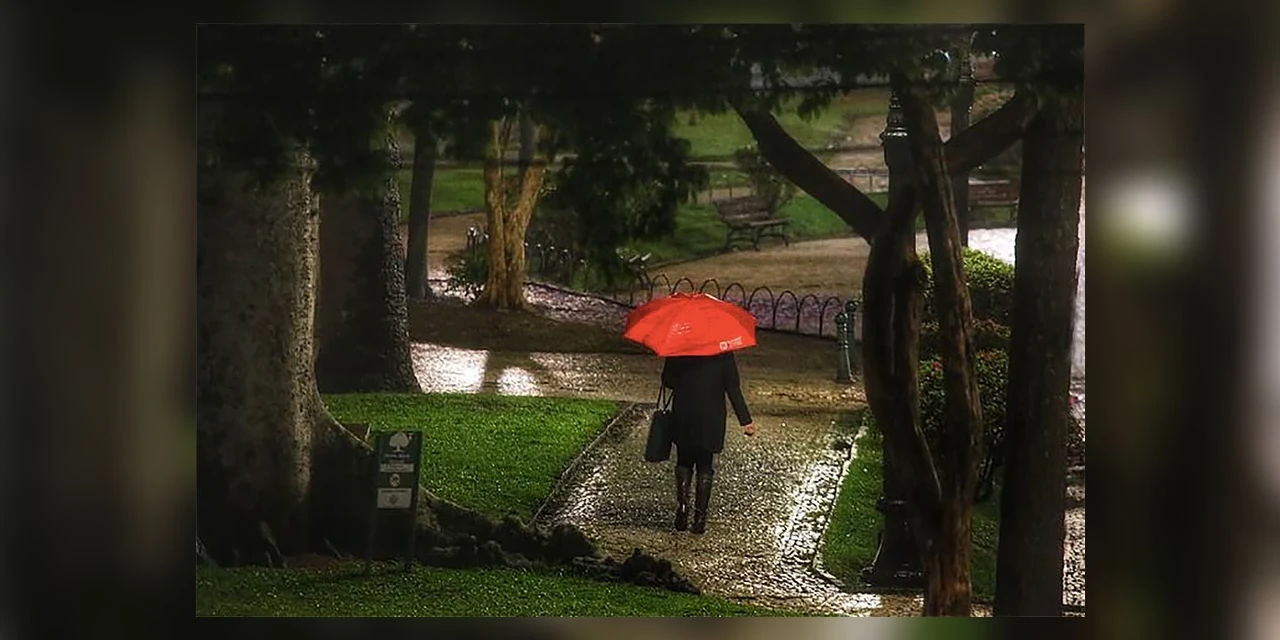 Com chuvas intensas no Paraná, Saúde alerta para riscos de leptospirose