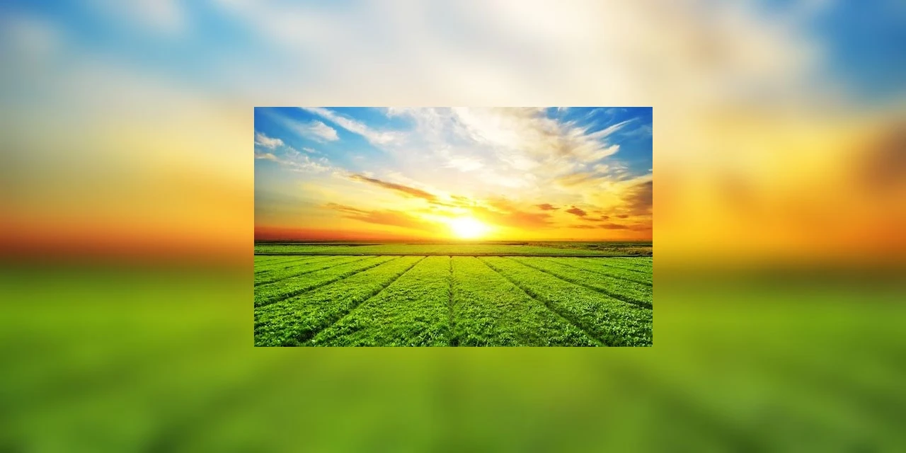 UFMG: país tem reservas de potássio para suprir a agricultura até 2100