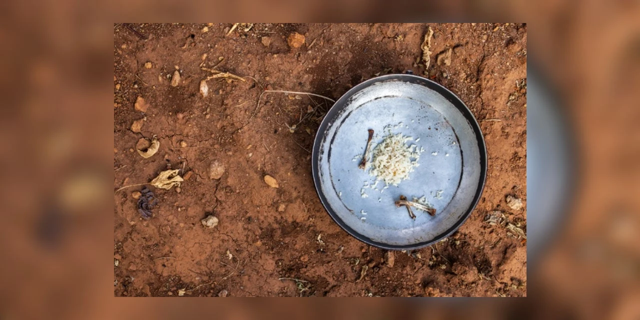 Pesquisa aponta que fome atinge 33,1 milhões de pessoas no país