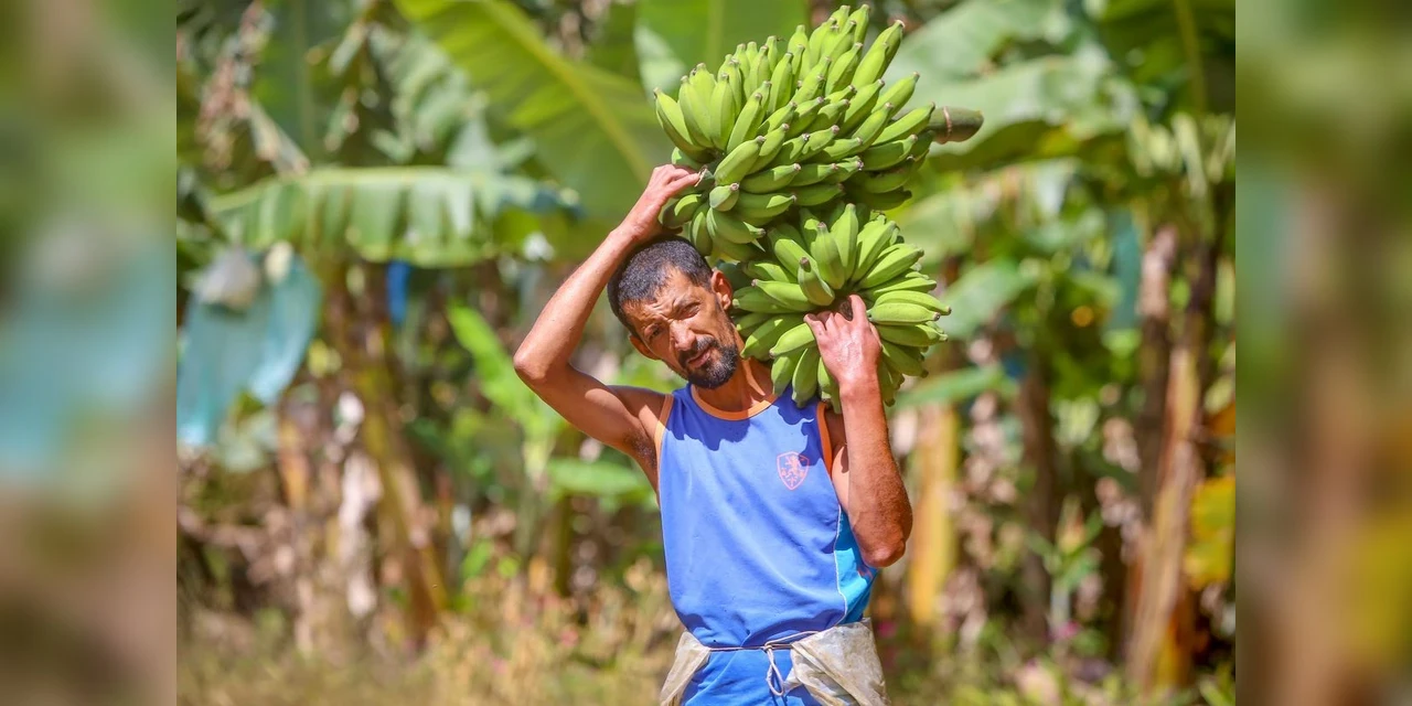 Cesta básica aumenta R$ 89,85 desde janeiro, aponta pesquisa da UEPG