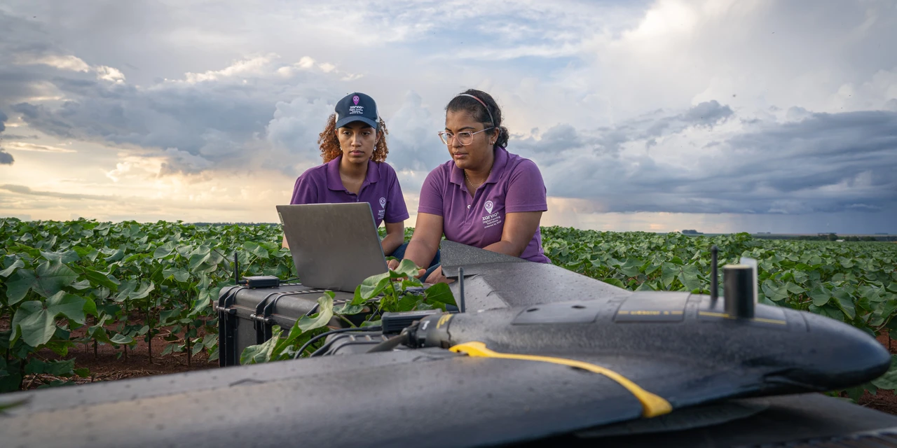 Tecnologia permite economia média de 62% de insumos no manejo da lavoura