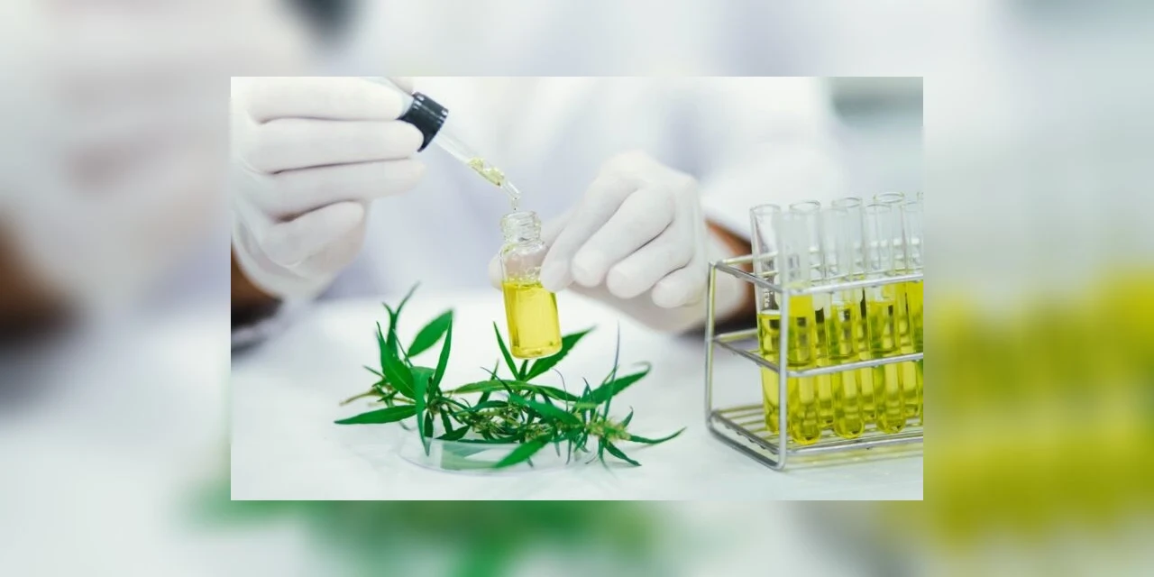 Justiça autoriza farmácia de manipulação do Paraná a vender produtos à base de Cannabis