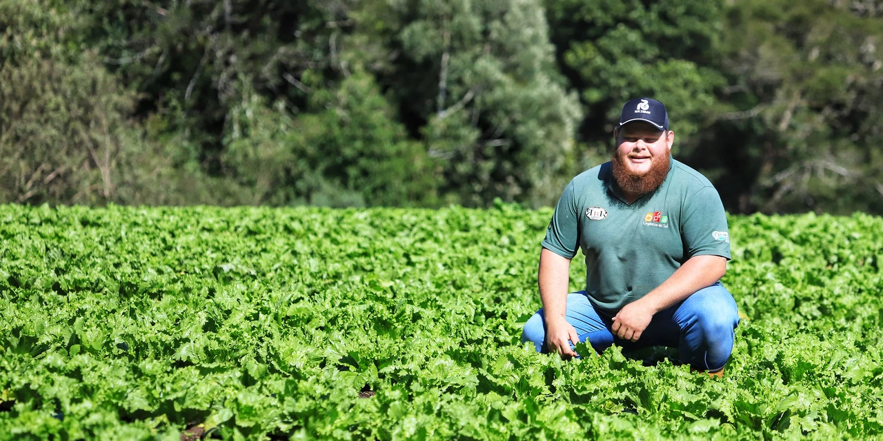 Projetos de transferência de renda para a agricultura familiar serão ampliados no Paraná