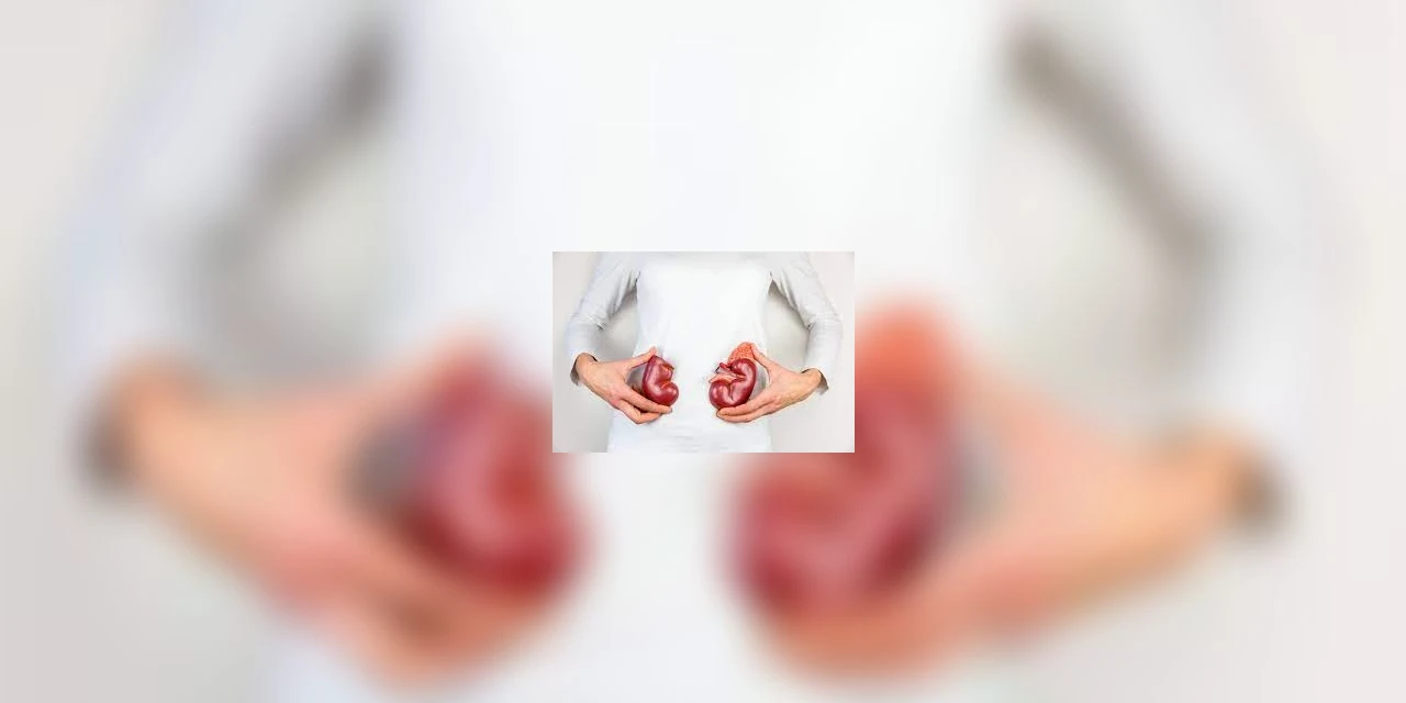 Câncer de rim atinge, principalmente, homens entre 55 e 75 anos