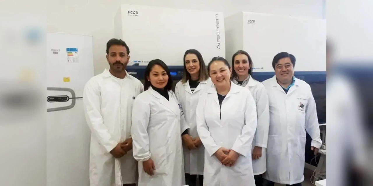 Pesquisadores do Paraná identificam sete fármacos com potencial de combate à Covid-19