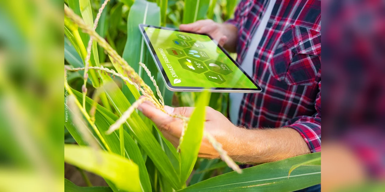 Bits no prato? Tecnologia digital chega à alimentação