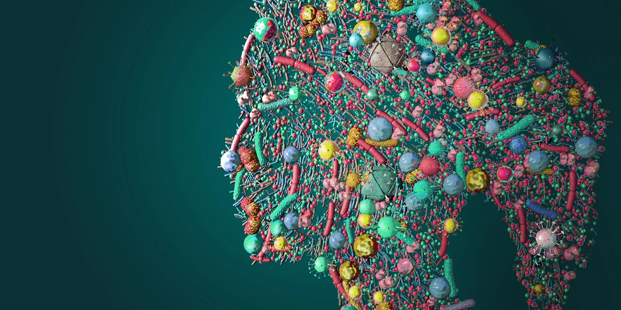 Um dia para lembrar a importância do microbioma humano