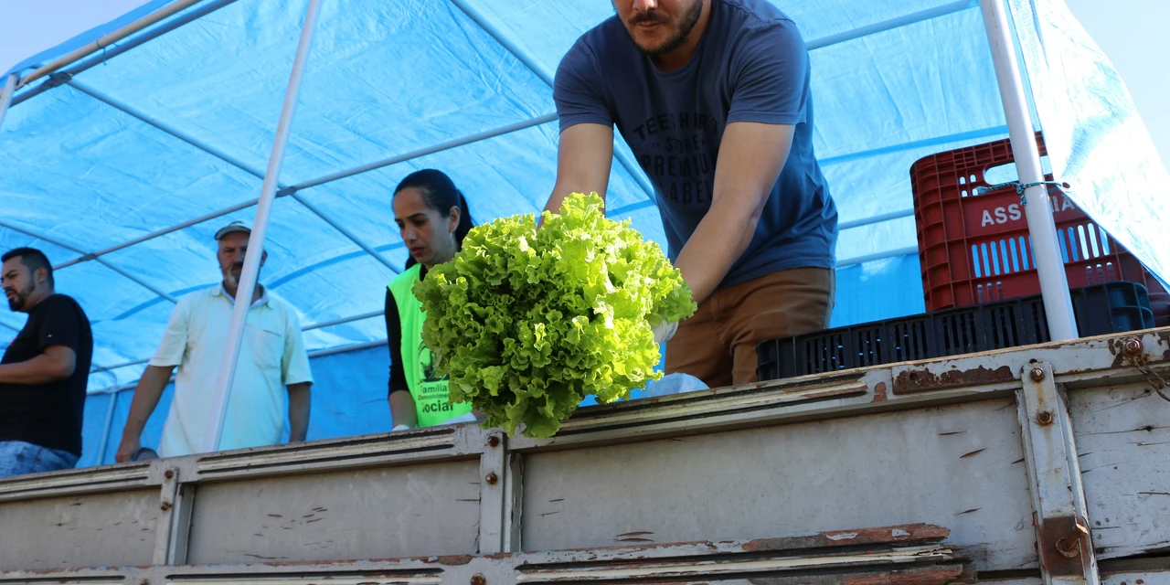 Ecofeira distribui mais 3 toneladas de alimentos em Castro