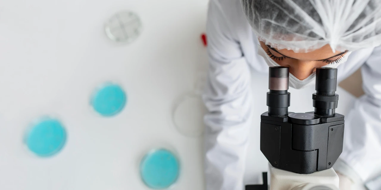 Criopreservação: cinco pontos de atenção antes de aderir ao processo