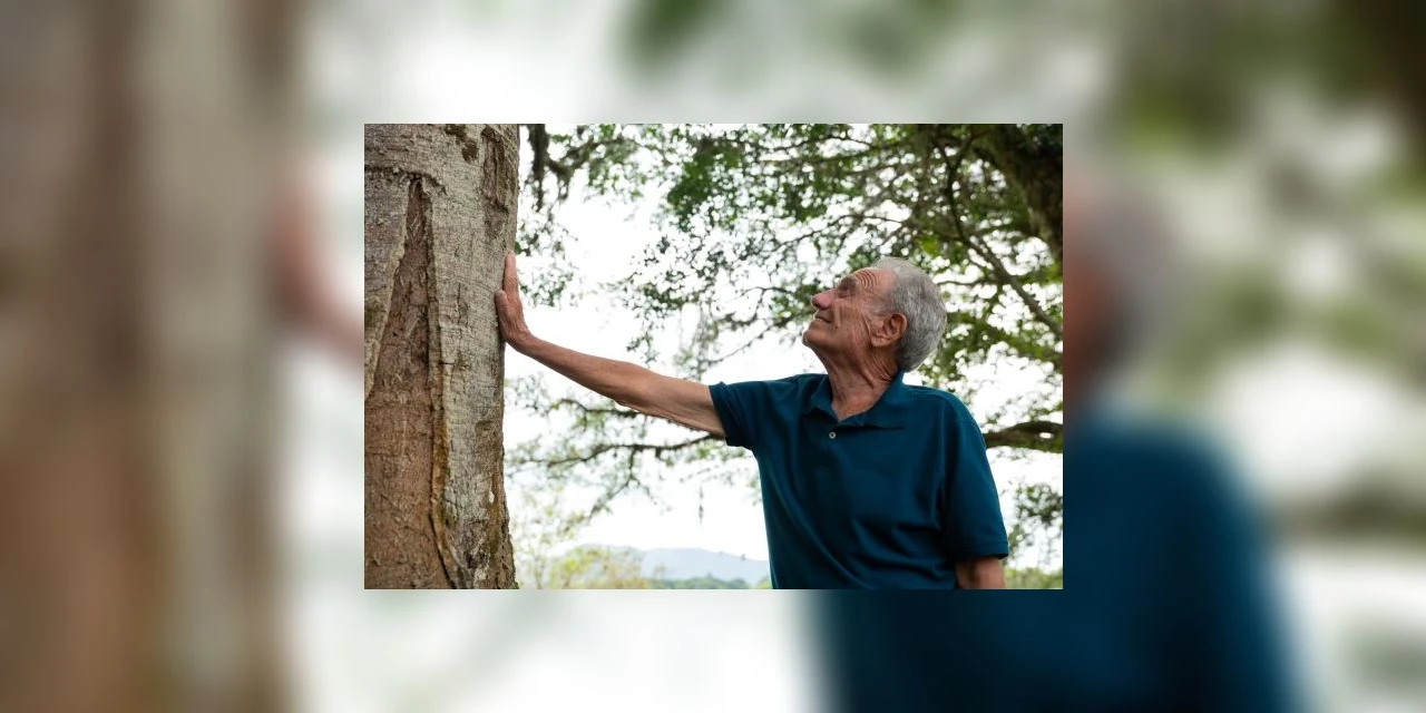 Investimentos sustentáveis impulsionam o desenvolvimento de Tijucas