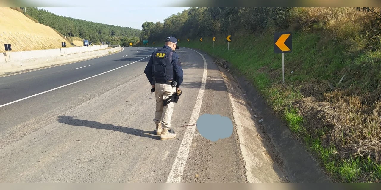PRF localiza cabeça decapitada em rodovia da região