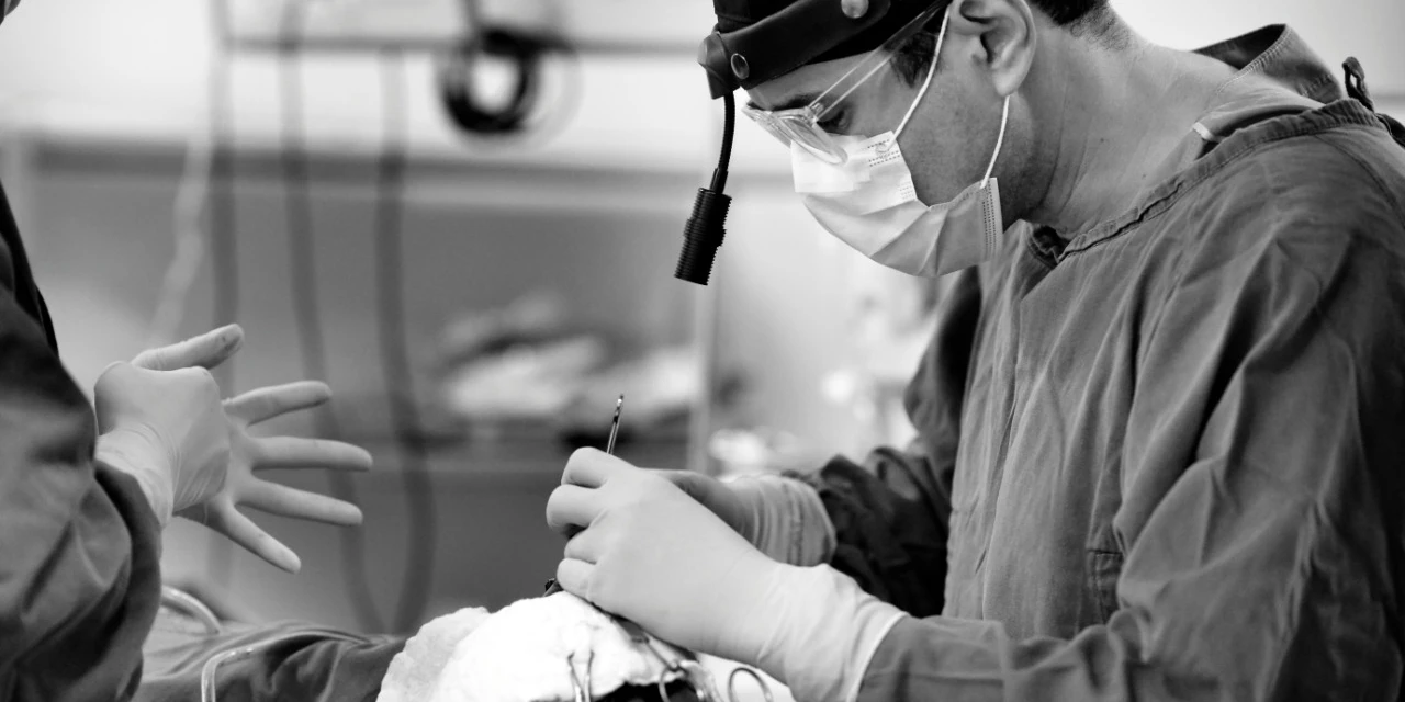 Rinoplastia vs rinomodelação​​: o que esperar de cada procedimento?