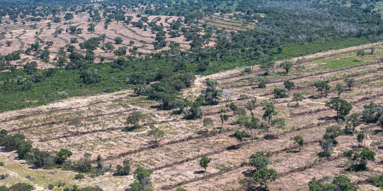 Agro&Negócio: '"Expansão da soja no Pantanal é um risco para o Planeta", afirma biólogo', por Ricardo Weg