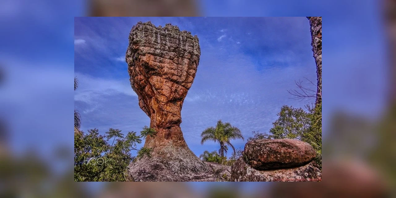 Parque Vila Velha é fundamental para proteger a Mata Atlântica, bioma em que vive a maior parte da população do Brasil