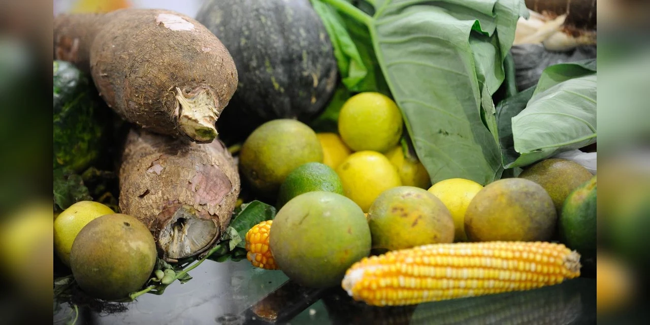 Guia do Ministério da Saúde traz dicas para alimentação de crianças