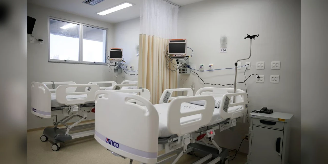 Saiba como funciona a doação de medula óssea no país