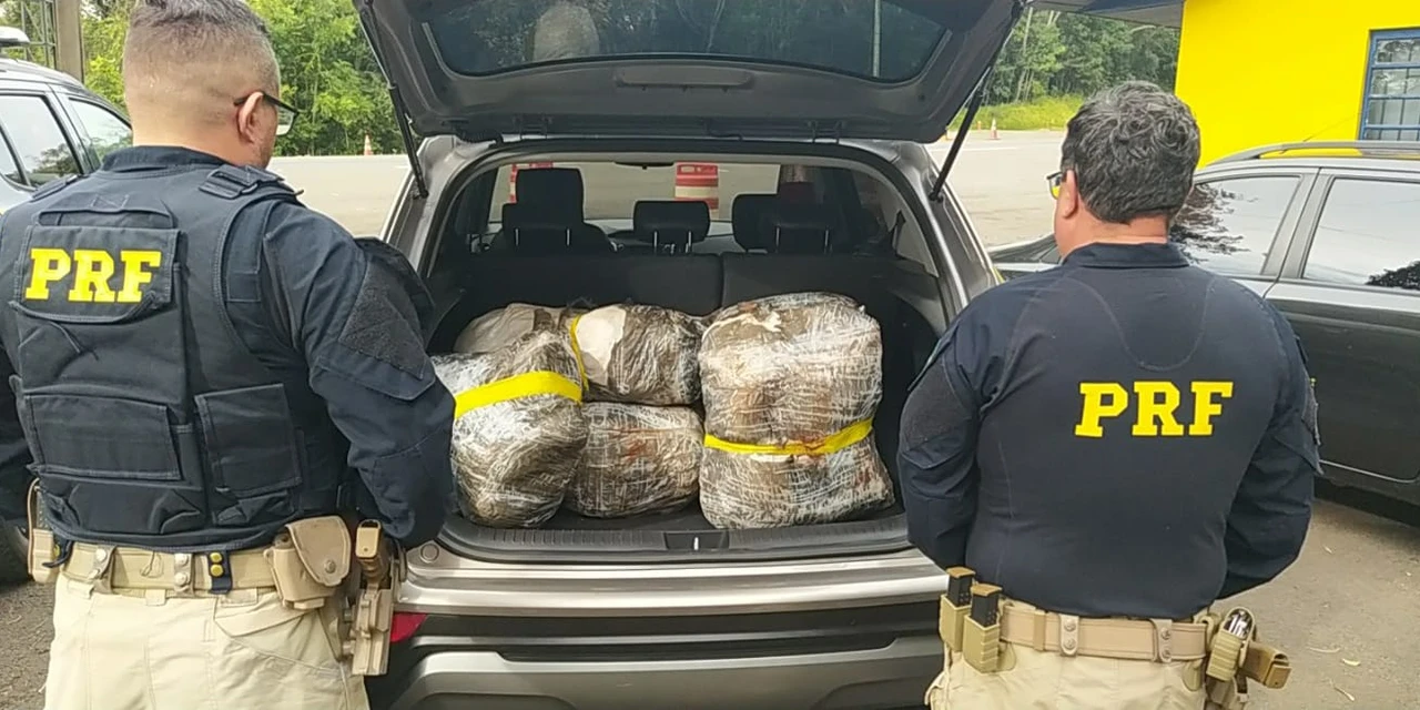 PRF apreende mais de 50 kg de haxixe em PG