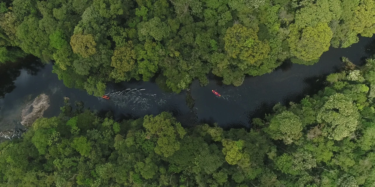 Parque das Neblinas participa da campanha Um Dia No Parque 2022