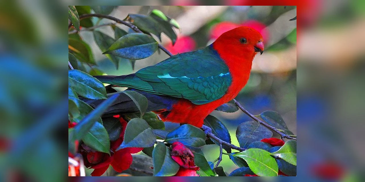 Roteiros de viagens destinados ao ecoturismo estão em alta no Brasil