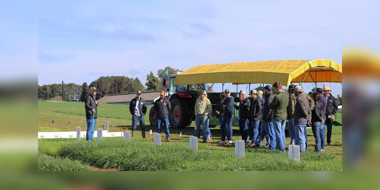 Castrolanda e Fundação ABC promovem Dia de Campo para produtores de leite