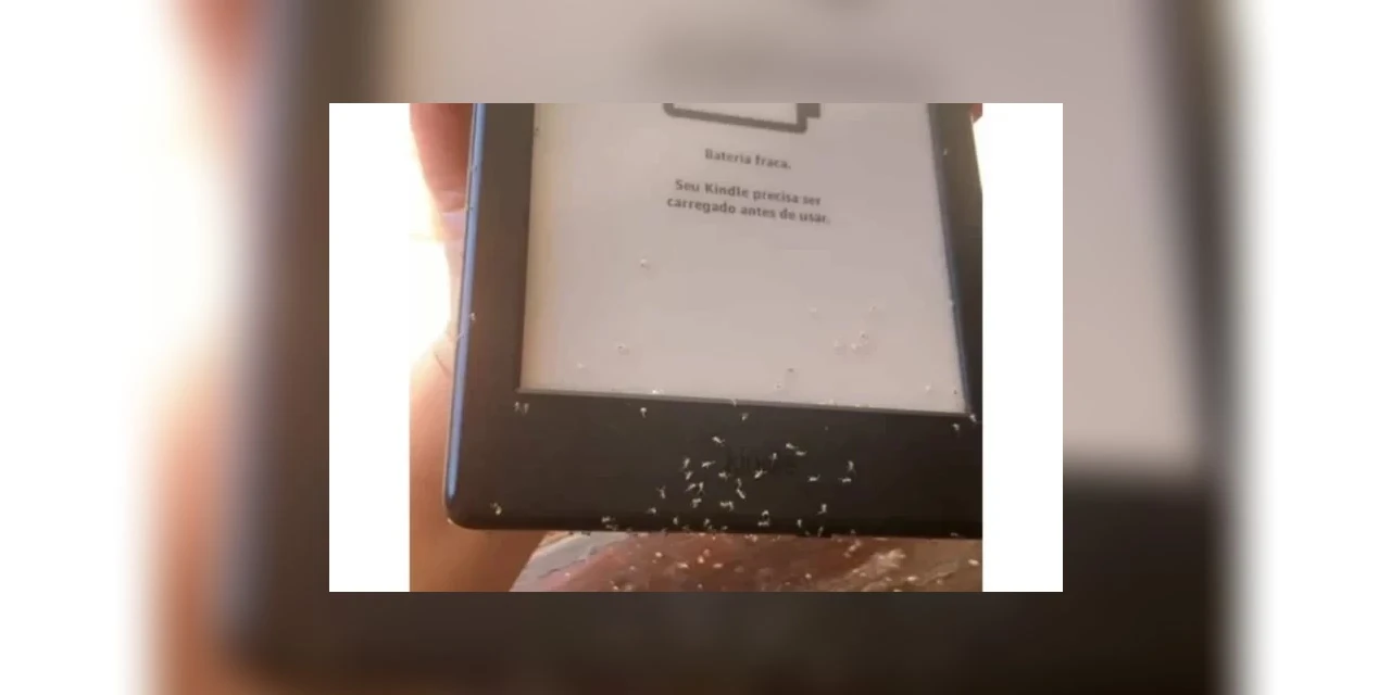 Formigas invadem Kindle de jornalista e compram dois livros