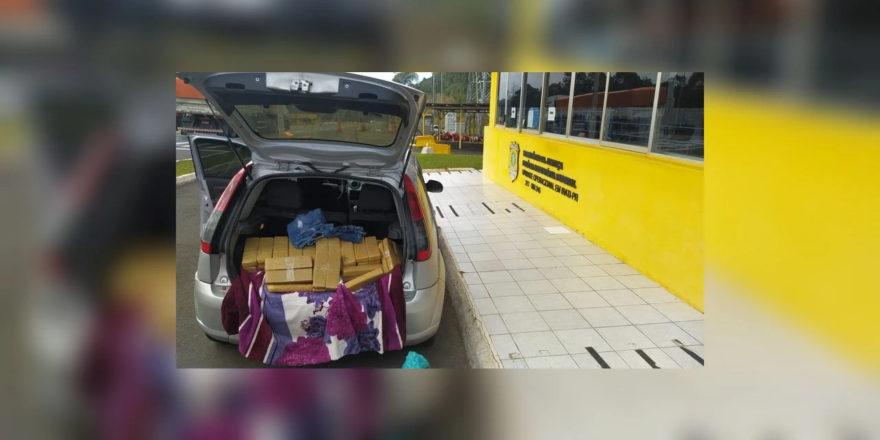PRF apreende quase 1,5 tonelada de drogas no Paraná
