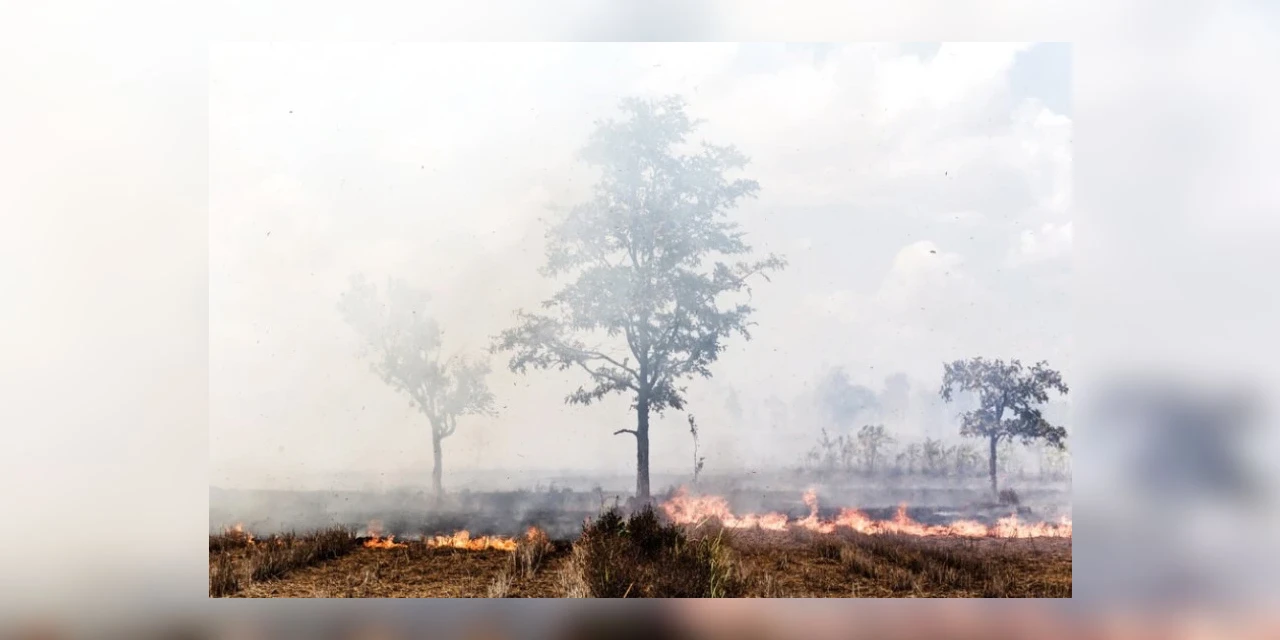 Assembleia aprova PL que torna agosto mês de prevenção e combate aos incêndios e queimadas no PR