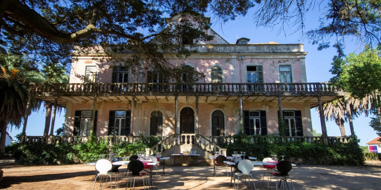 Vinhos & Viagens: 'Enoturismo - cinco programas de vindimas na região dos Vinhos do Tejo', por Patrícia Ecave