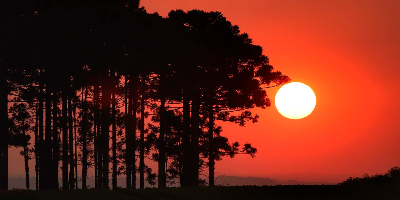 Julho registra temperatura média mais alta da história