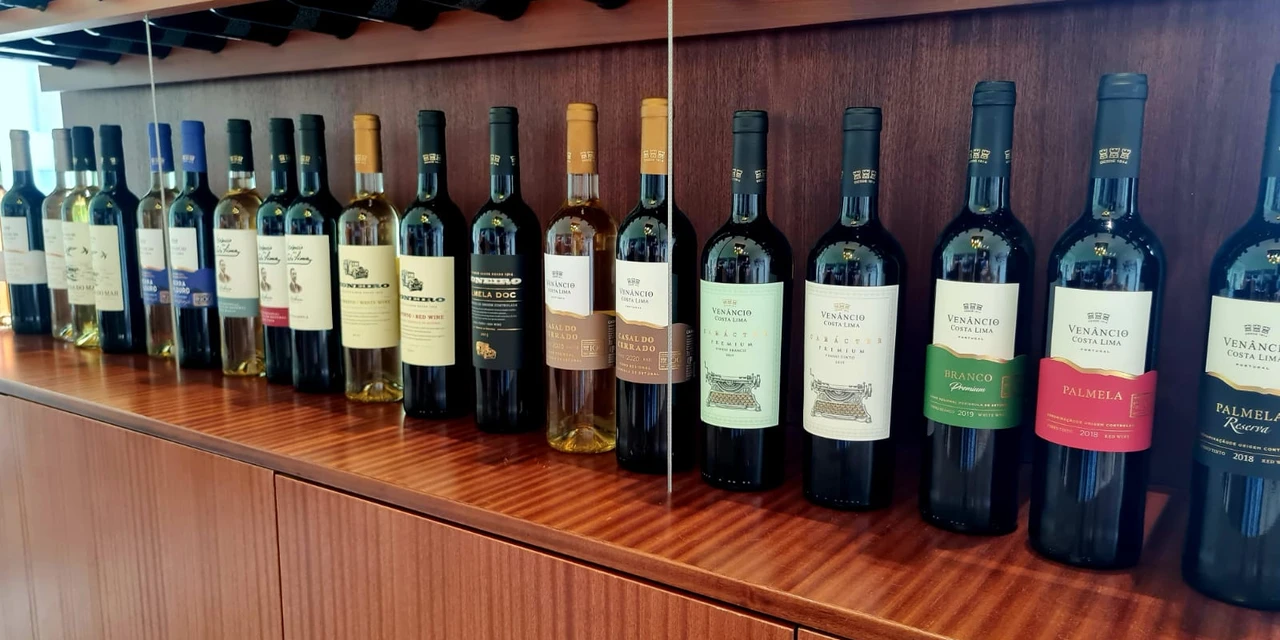 Vinhos & Viagens: 'A importância econômica e cultural do Enoturismo para regiões produtoras', por Patrícia Ecave