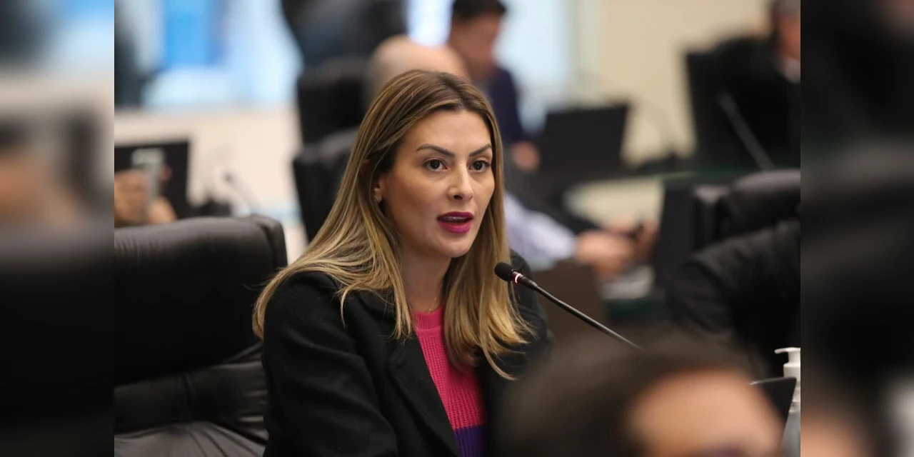 Lei que desobriga desempregados a pagar multas por fidelidade em serviços de telecomunicação é de autoria de Mabel Canto