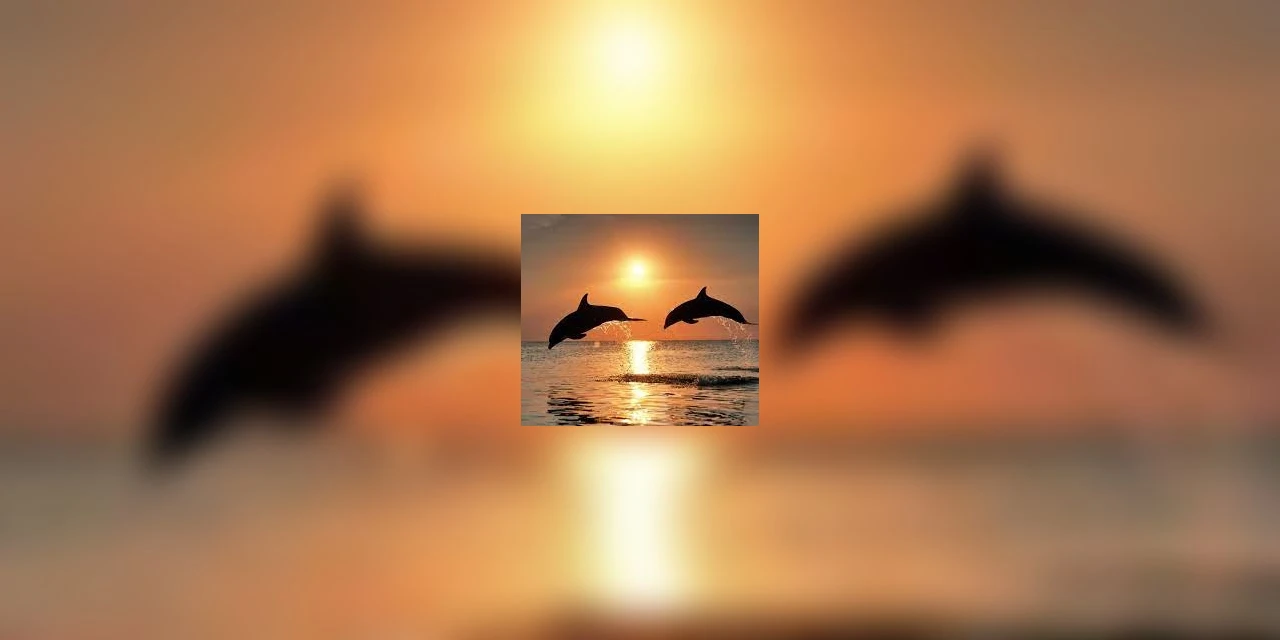 Stella dos Anjos Costa lança obra sobre amor platônico