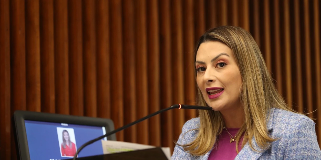 Lei de Mabel regulamenta o atendimento à pessoa deficiente auditiva nos órgãos públicos do PR