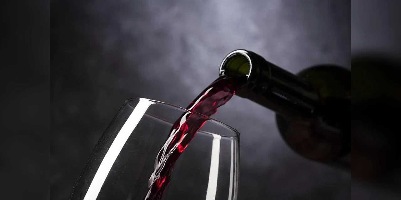Vinhos & Viagens: 'Alguns dos melhores vinhos da América do Sul serão conhecidos na Wine South America', por Patrícia Ecave