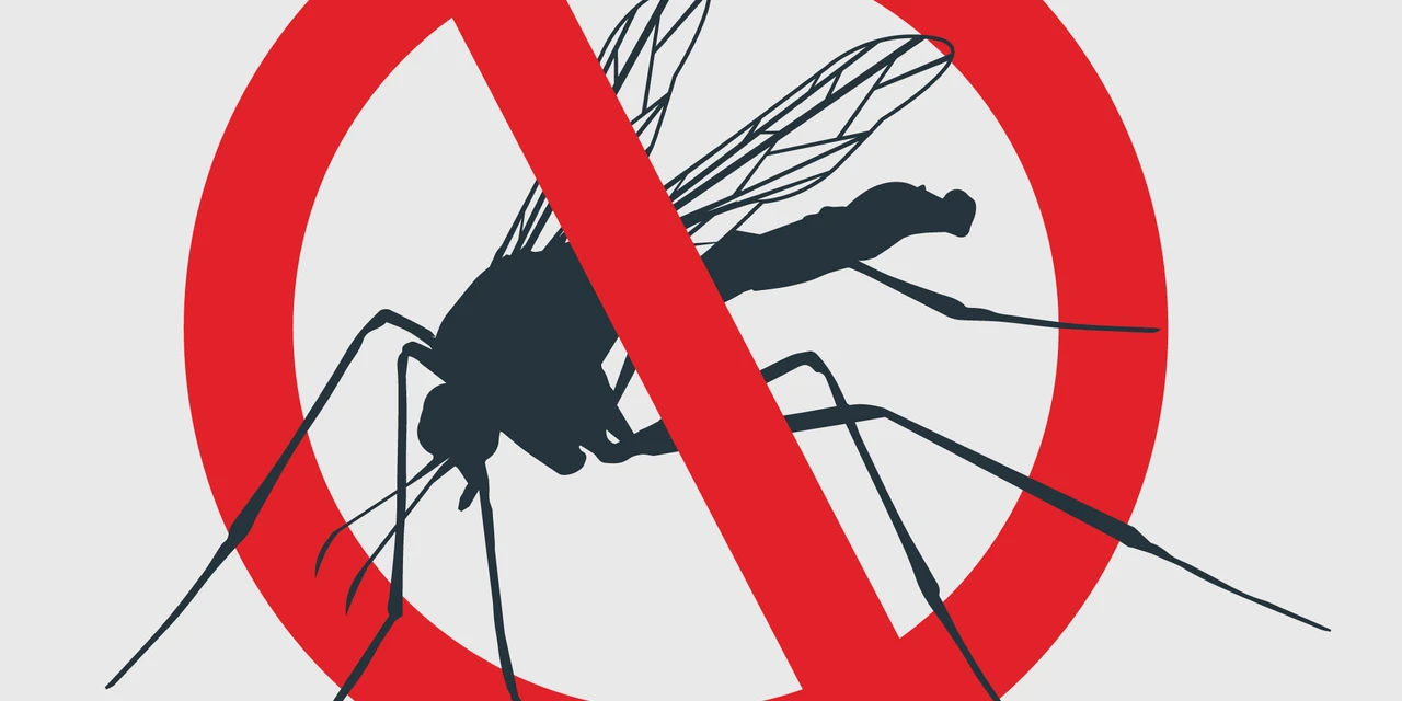 Primeiro semestre bate recorde de mortes por dengue