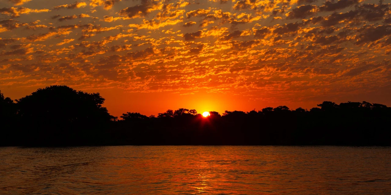 Empresa paulistana promove safári fotográfico no Pantanal