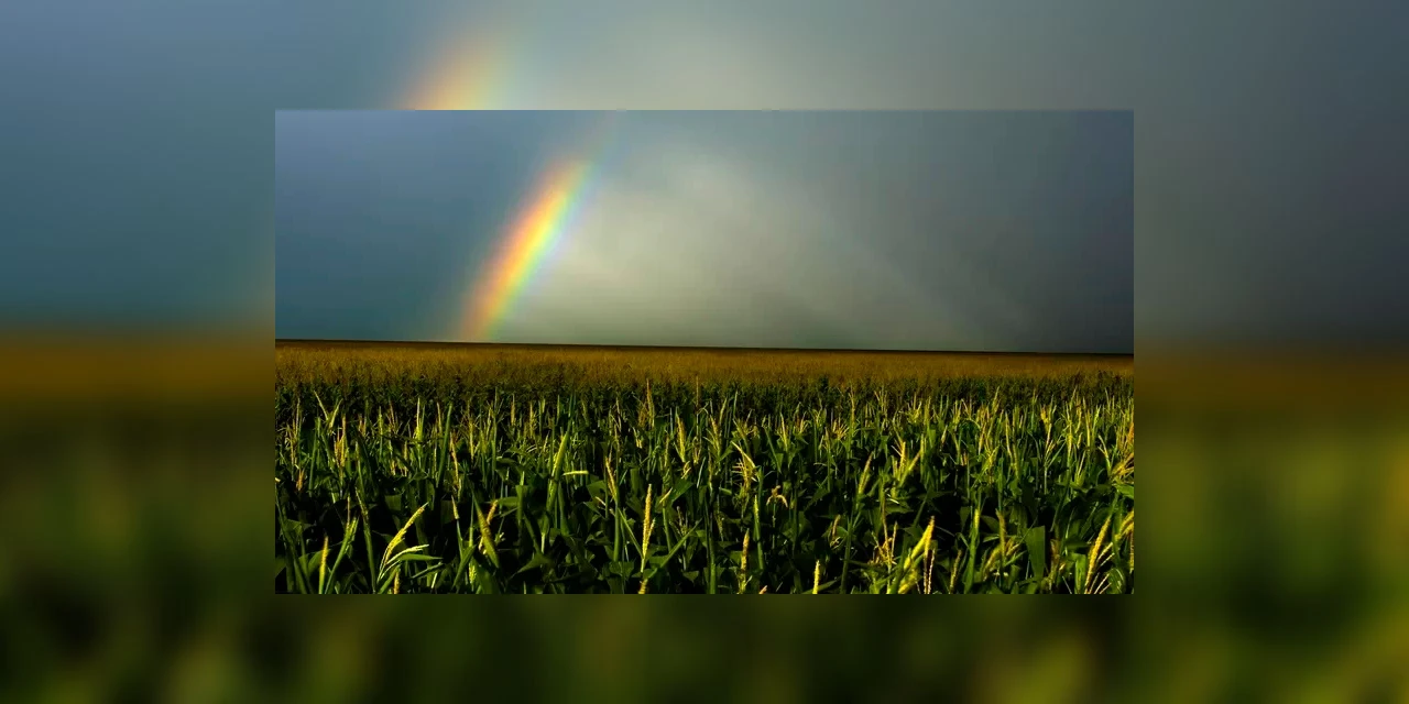 La Niña segue afetando agricultura até 2023