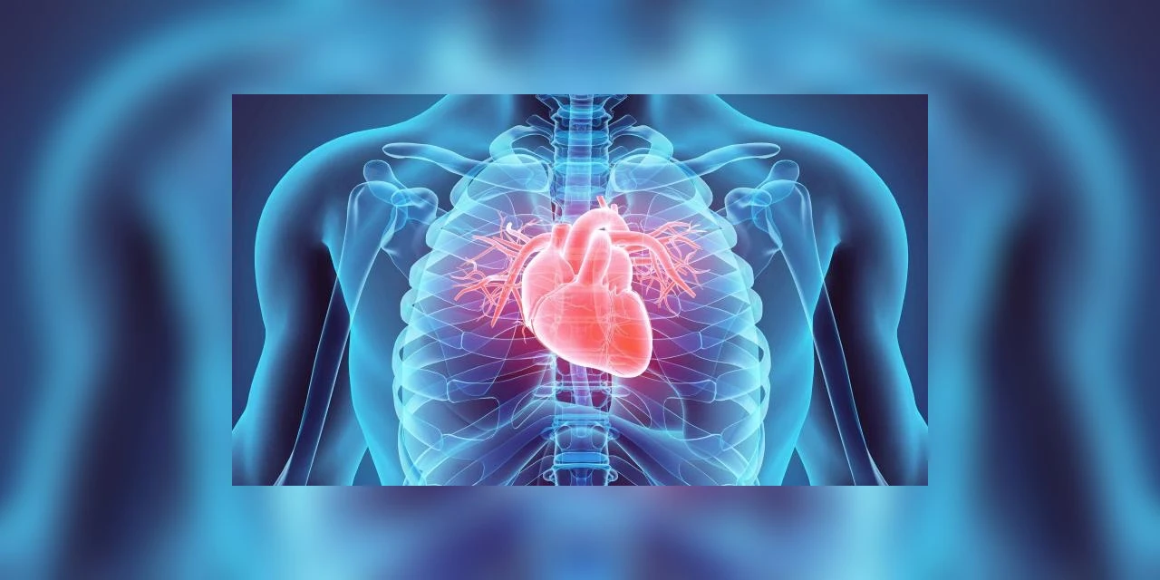 Doenças cardiovasculares matam um brasileiro a cada 90 segundos