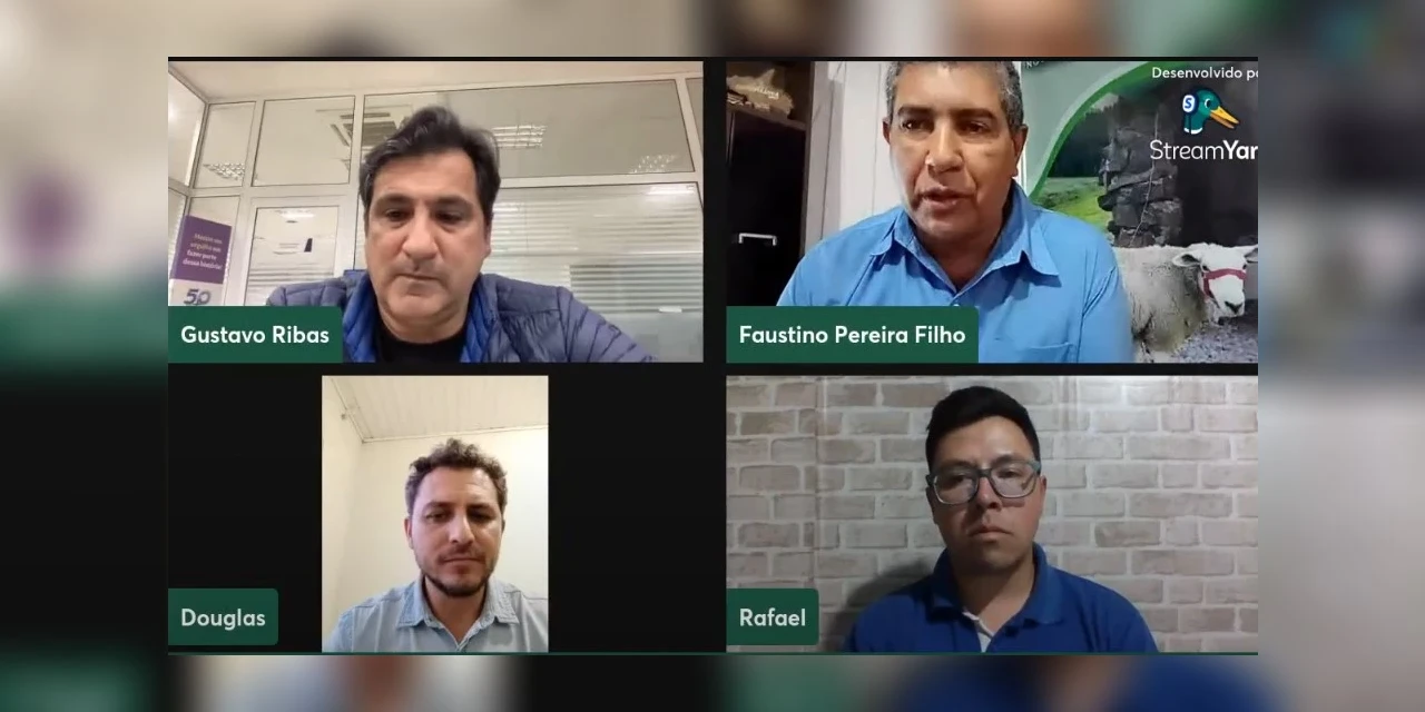 Live do Sindicato Rural apresenta experiência de arranjo produtivo para ovinocultura nos Campos Gerais