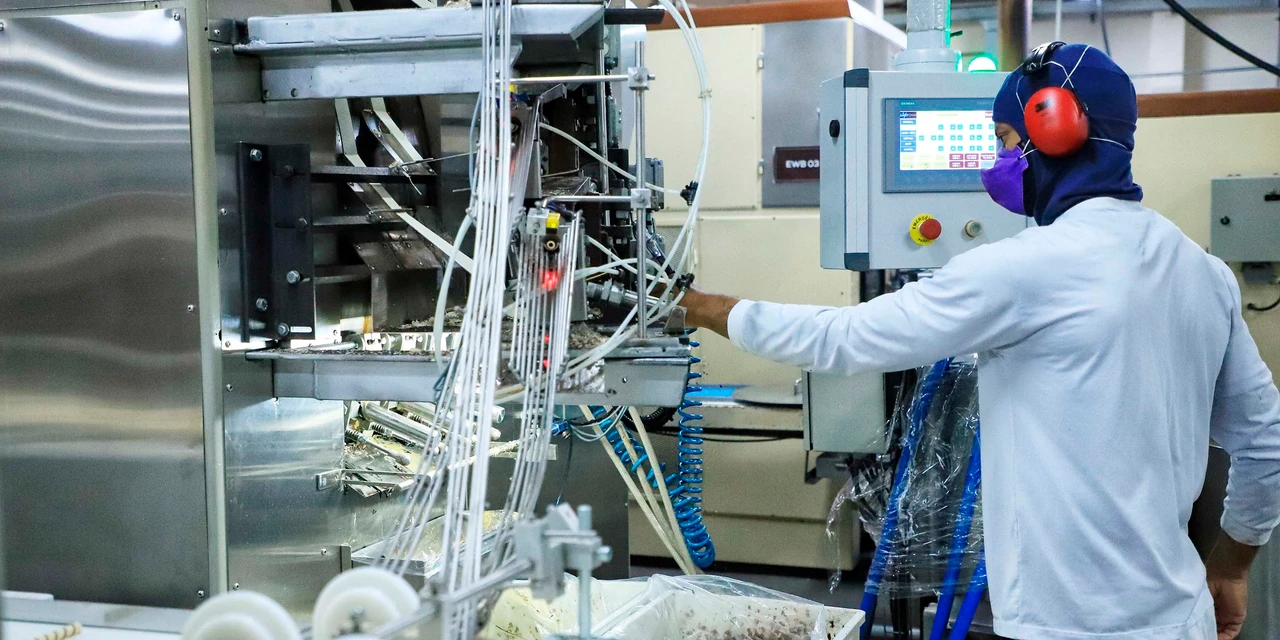 Produção industrial do Paraná cai 4,3% em setembro, segundo IBGE