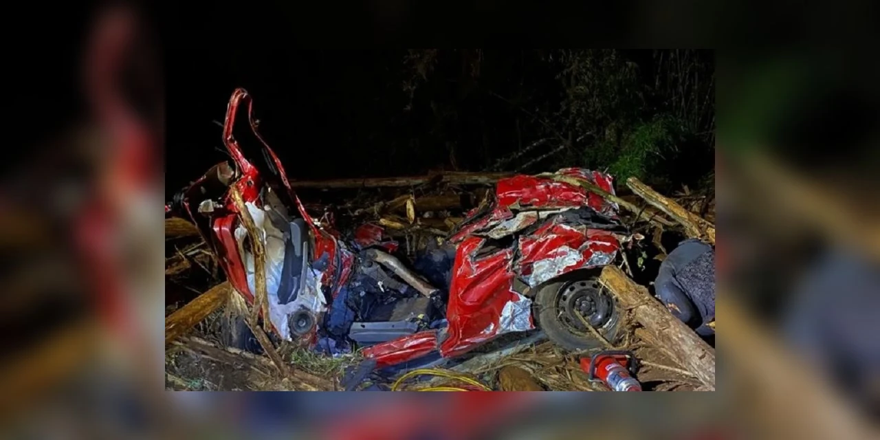 No PR, toras de eucalipto caem de caminhão e matam cinco pessoas