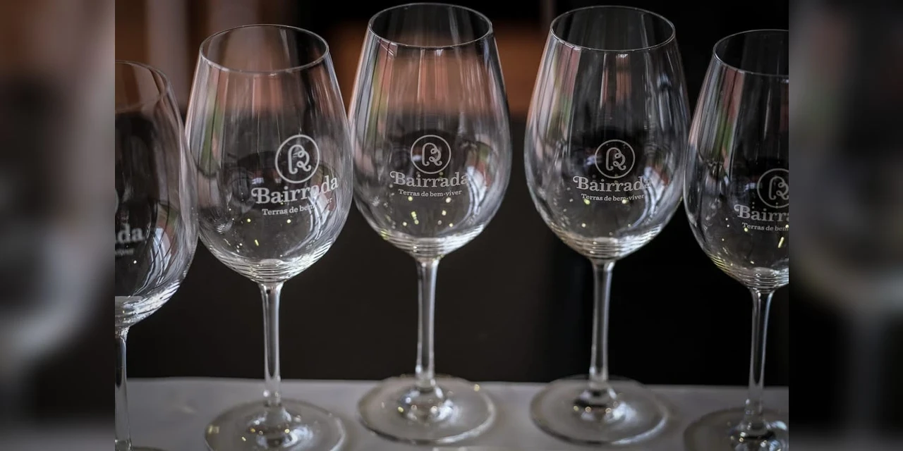 Vinhos & Viagens: 'Cá da Bairrada Espumante Bruto branco 2010 é o grande vencedor do Concurso de Vinhos e Espumantes Bairrada 2022', por Patrícia Ecave