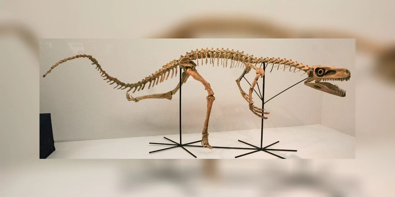 Novo Guia de Dinossauros do Brasil inclui 54 descobertas