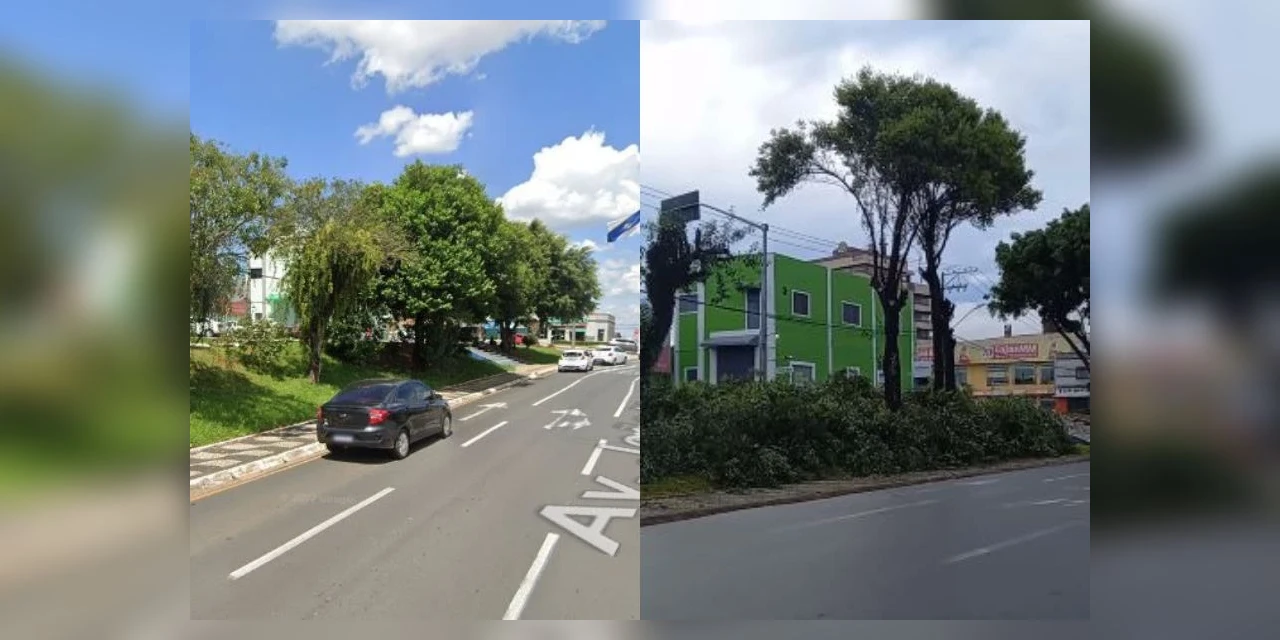 Vídeo: Internauta registra indignação com poda de árvores em frente à rodoviária de PG: "É uma vergonha"