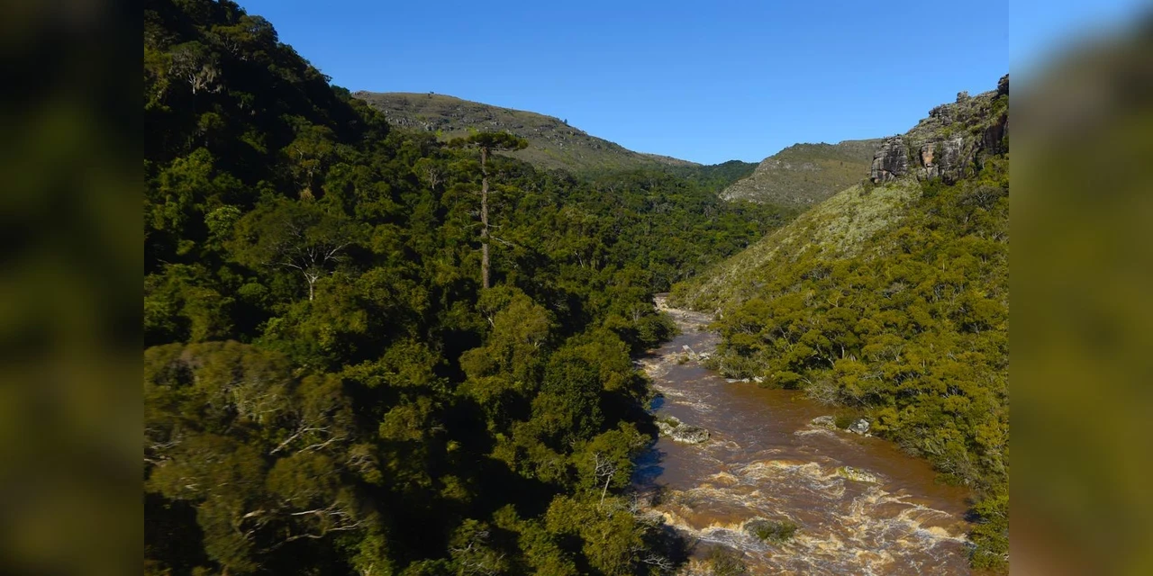 Concessão do Guartelá, sexto maior cânion do planeta, será no fim de fevereiro