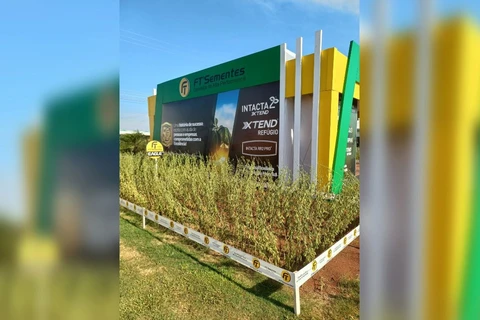 FT Sementes é destaque no Show Rural Coopavel 2023