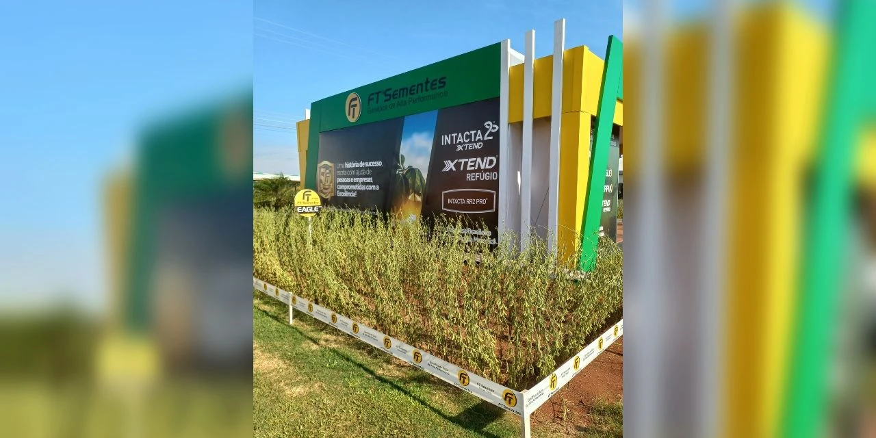 FT Sementes é destaque no Show Rural Coopavel 2023