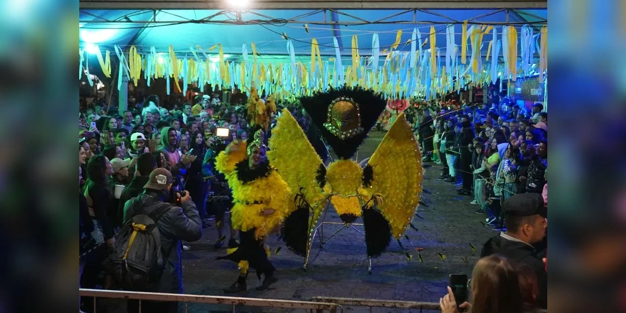 Desfile das escolas de samba marca segundo dia de Carnaval em PG